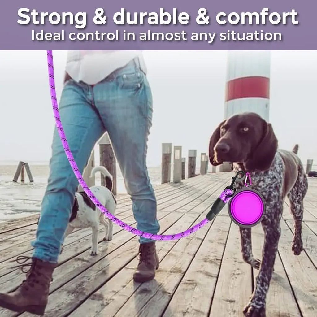 Reflective Heavy-Duty Dog Leash – Nylon Anti-Pull Leash for Small, Medium & Large Dogs