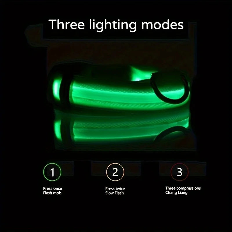 LED Glow-in-the-Dark Nylon Dog Collar & Leash — Flashing Luminous Safety Pet Collar