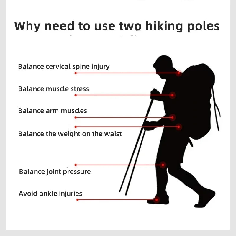 3-Section Adjustable Aluminum Trekking Poles with EVA Grip & Carbon-Tungsten Tips, 32–125 cm (12.6–49.2 in)