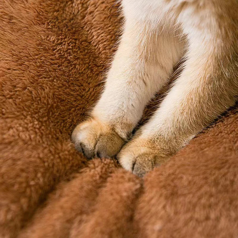 Teddy Bear Plush Enclosed Pet Bed – Cozy Cat & Small Dog Nest, Brown