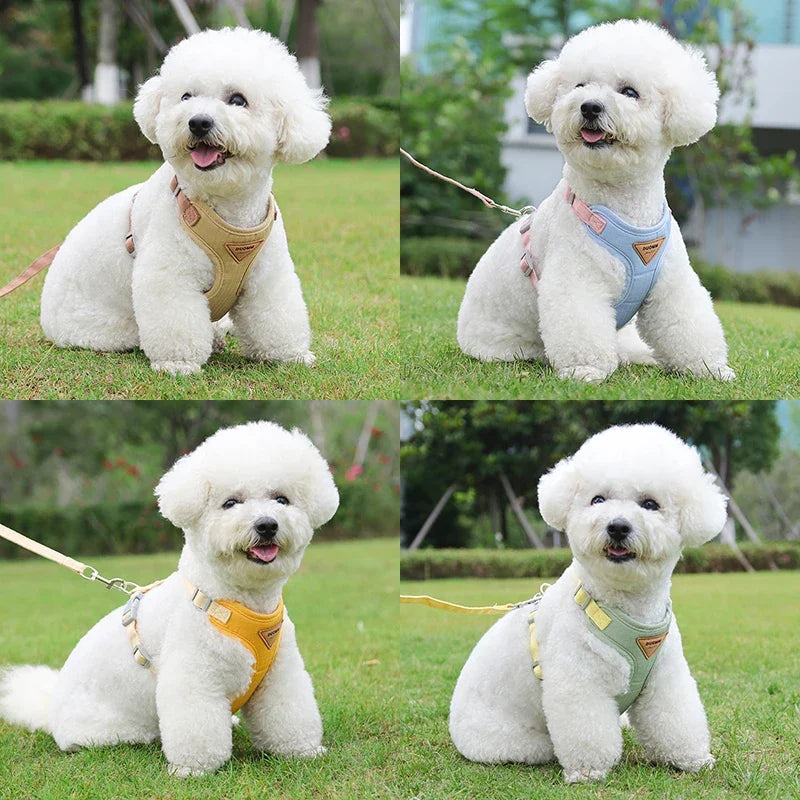 Breathable No-Pull Puppy Harness and Leash Set for Small & Medium Dogs and Cats, Ideal for French Bulldog Chihuahua Poodle