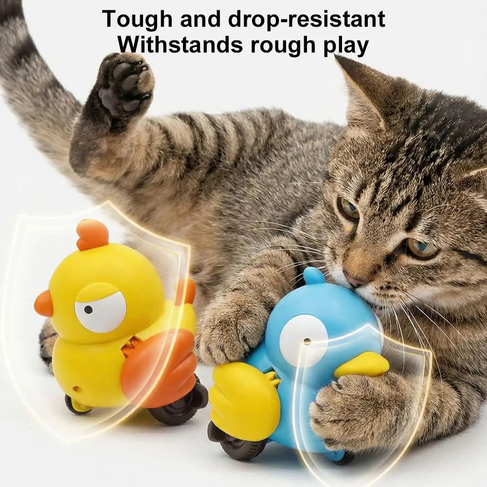 Interactive Plush Bird Cat Toy — Pull-String Wind-Up Tail Teaser, Battery-Free Indoor Cat Toy