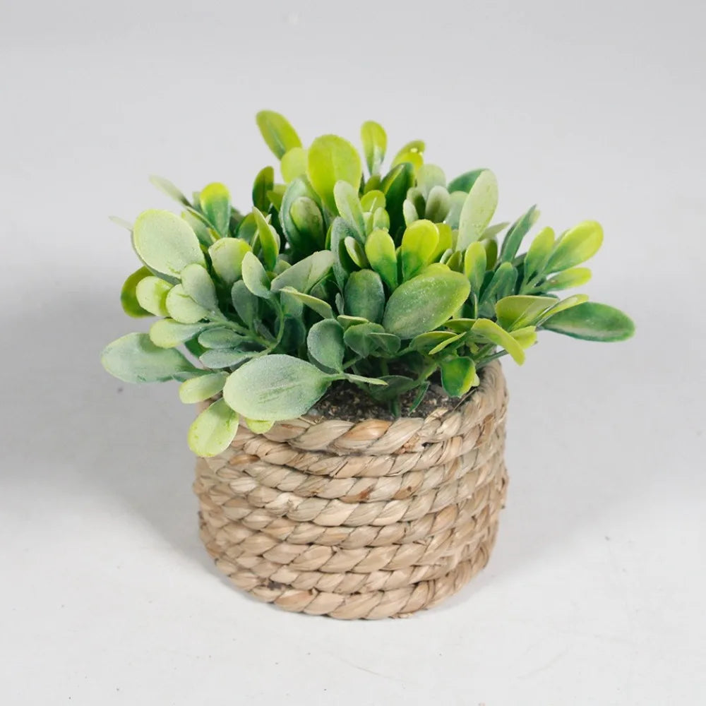 Faux Eucalyptus Potted Plant 11 cm (4.33 in) Green Artificial Tabletop Plant for Home and Office Decor