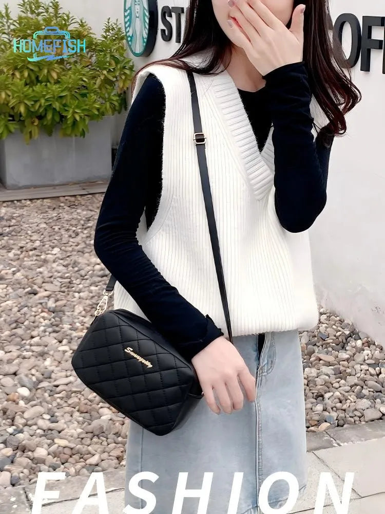 Tassel Embroidered Small Saddle Messenger Camera Crossbody Bag with Chain Strap for Women