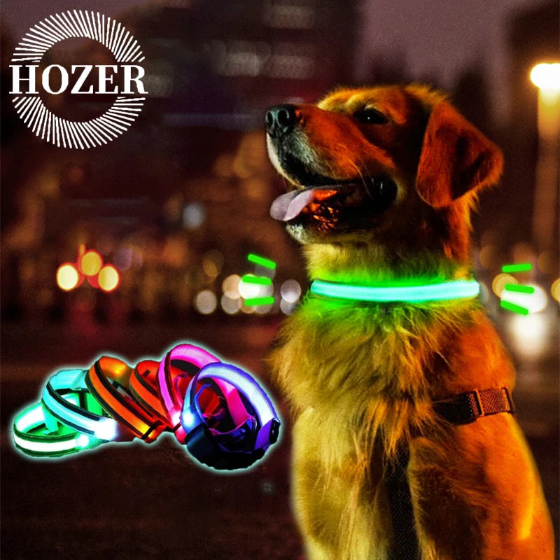LED Luminous Nylon Dog Collar – Glow Reflective Safety Collar for Night Walks (XS-XL)