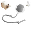 Rechargeable Interactive Rolling Cat Toy with Faux Tail - Motion-Activated Ball for Cats & Small Dogs