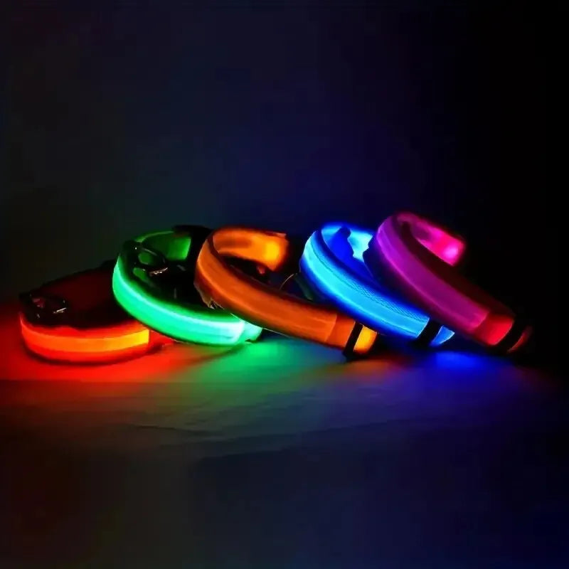LED Glow Nylon Dog Collar & Leash - Luminous Flashing Night Safety for Dogs
