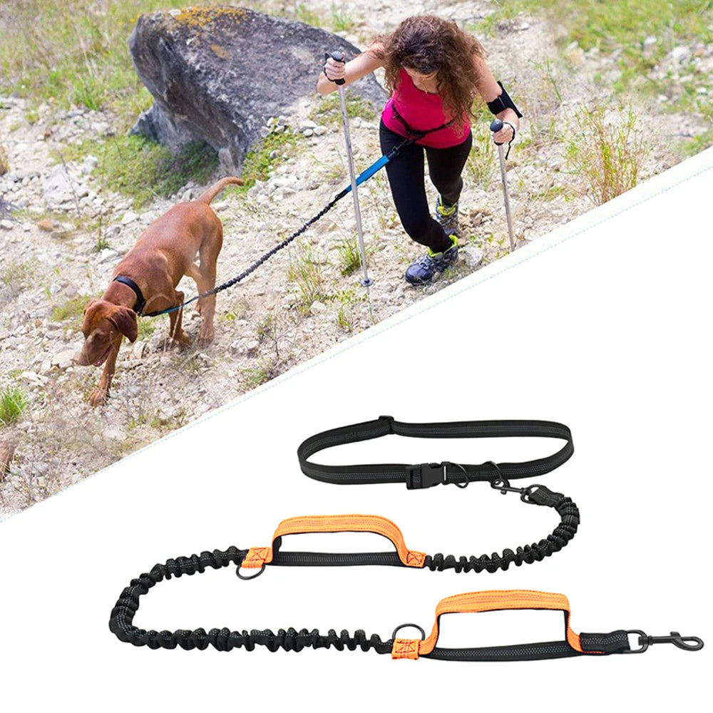 Double Elastic Reflective Hands-Free Running Dog Leash — Retractable Bungee Waist Lead 160–260 cm (63–102 in), Waist 70–120 cm (27–47 in)