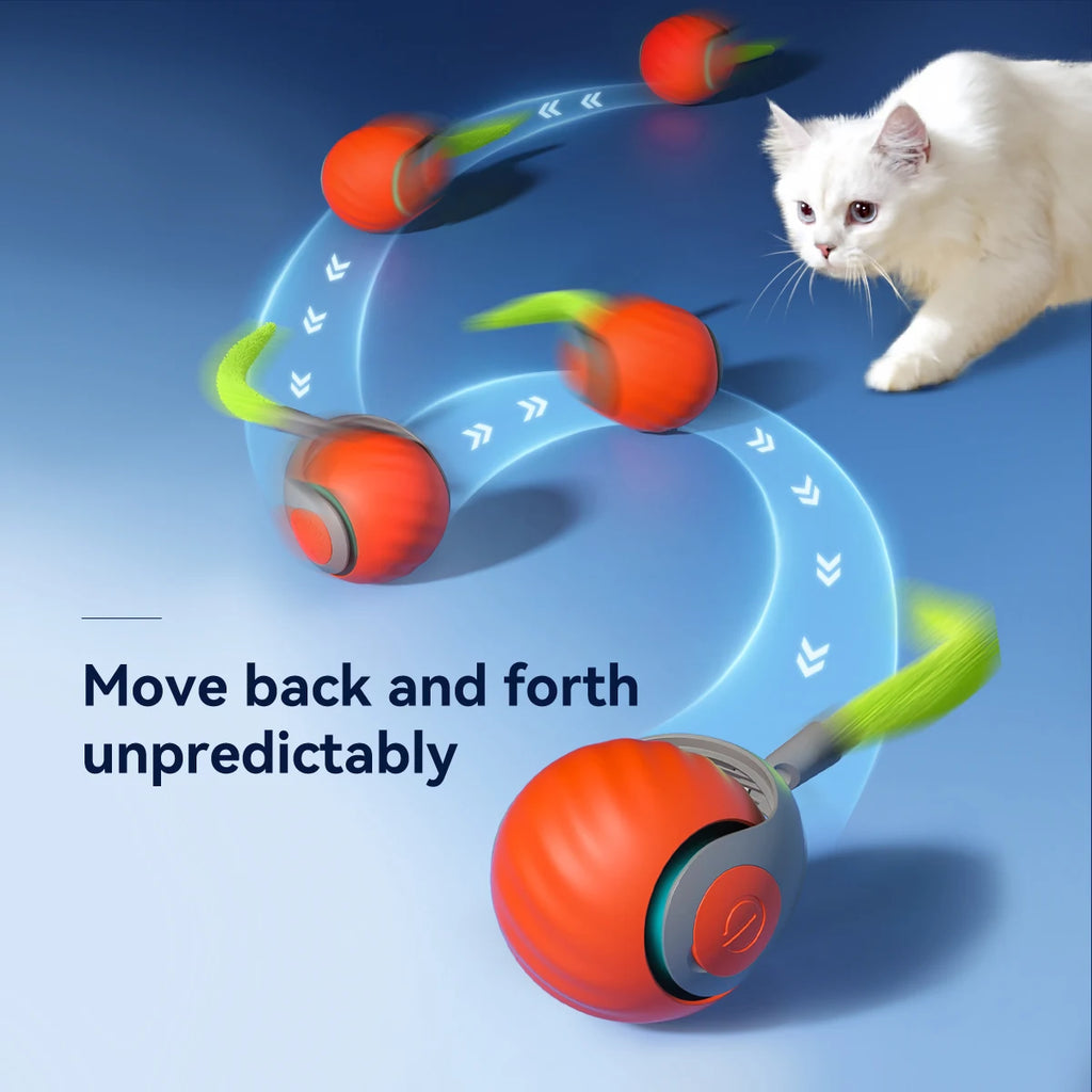 Interactive USB-C Rechargeable Rolling Cat Toy Ball 2.0 in (50 mm) with Replaceable Tail & Feather for Indoor Cats & Small Dogs