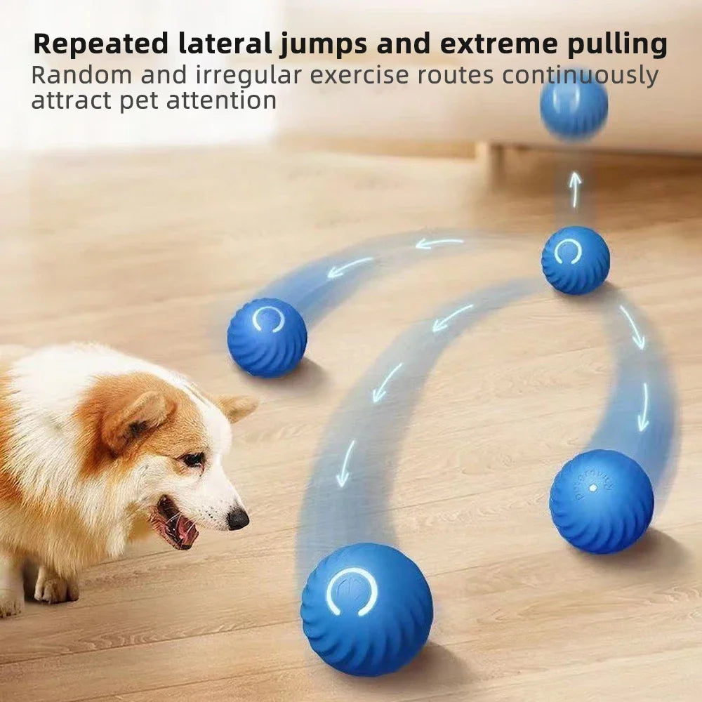Interactive Smart Pet Toy Ball - Automatic Jumping & Rolling with Gravity Sensor, Rechargeable for Cats & Small/Medium Dogs