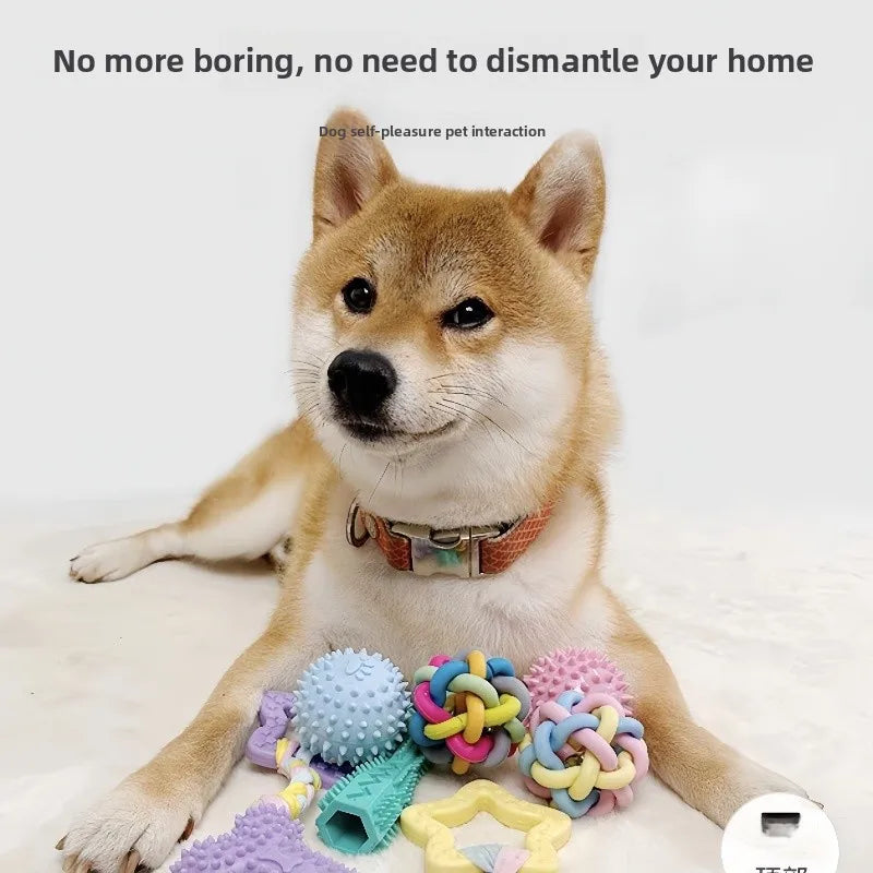 Interactive Rubber Chew Ball for Dogs & Cats - Dental Tooth-Cleaning Pet Toy
