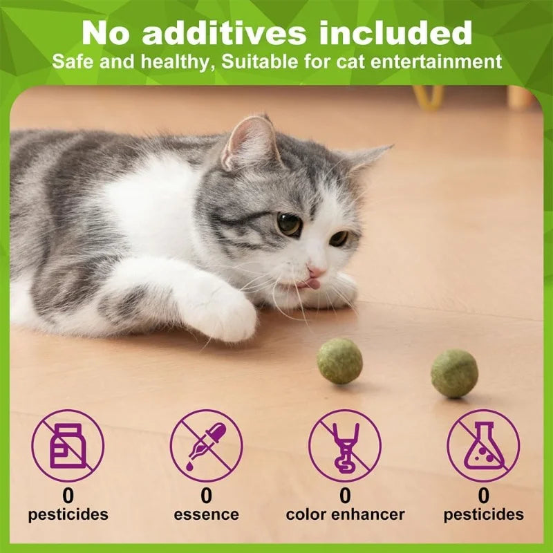 Natural Catnip Balls 5/10/20-Pack Lickable Kitten Toy for Cats