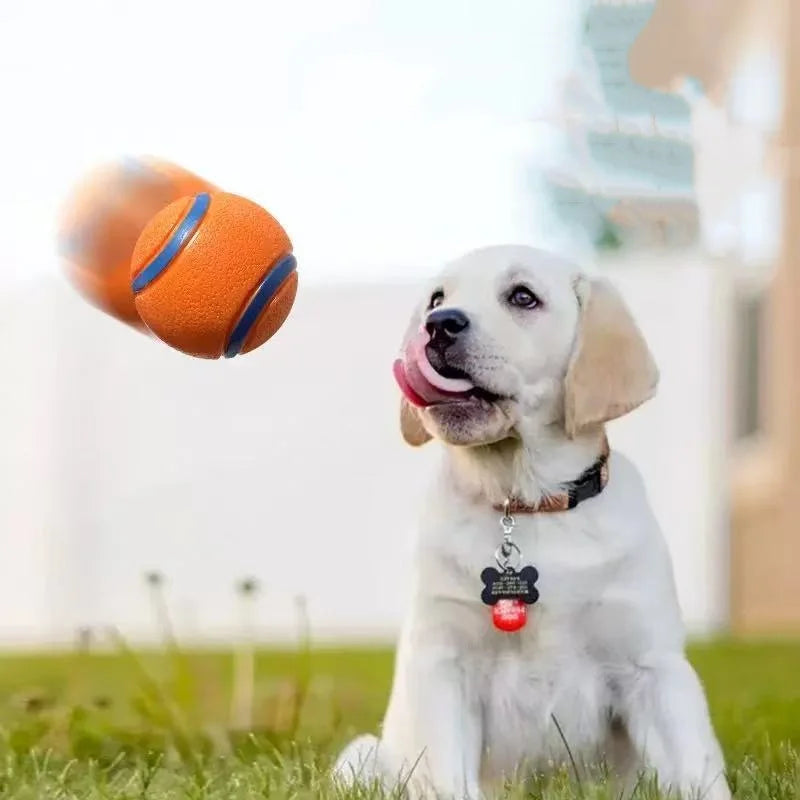 Chew-Proof Rubber Dog Ball - Elastic Jumping Fetch Toy for Small, Medium & Large Dogs
