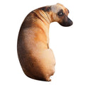 3D Lifelike Dog Head Throw Pillow Bendable Plush Cushion 7.87in (20cm) & 19.69in (50cm) Decorative Animal Pillow for Kids & Home