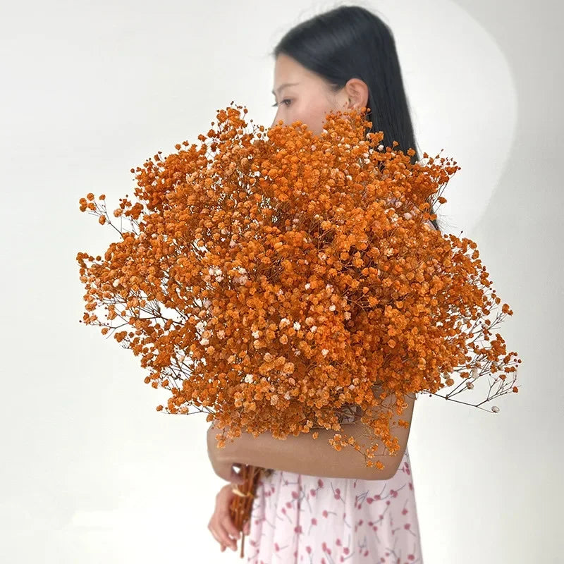 100g (3.5 oz) Dried Baby's Breath Gypsophila Bouquet - Preserved Boho Floral Home & Wedding Decor