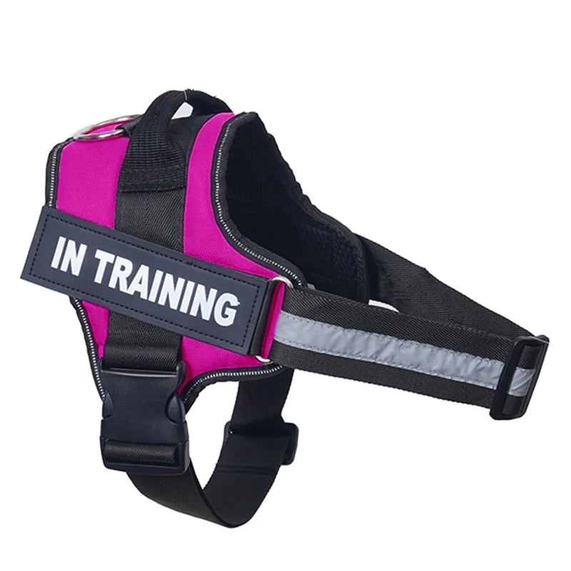 Personalized Reflective No-Pull Dog Harness Vest - Adjustable Nylon Pet Harness with Handle & Leash Attachment - Small/Medium/Large