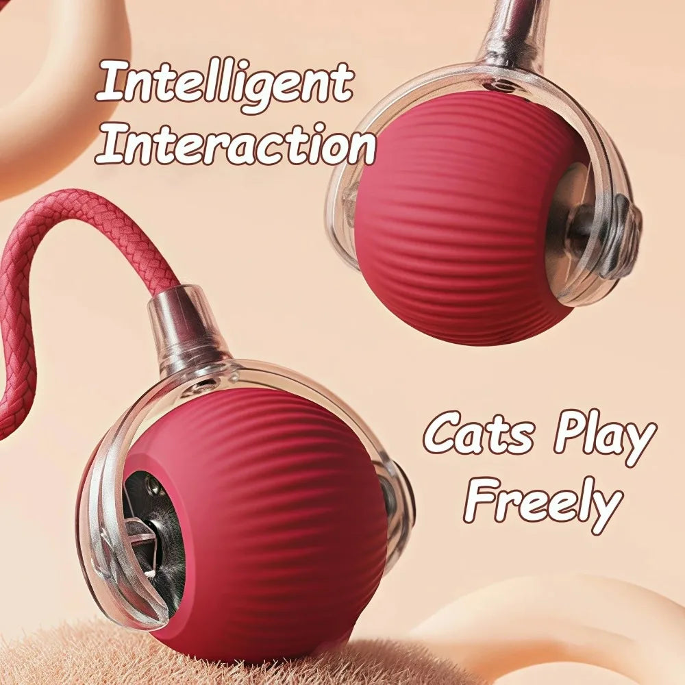 Interactive Rechargeable Rolling Cat Ball with Faux Tail – Automatic Smart Pet Toy for Cats & Small Dogs