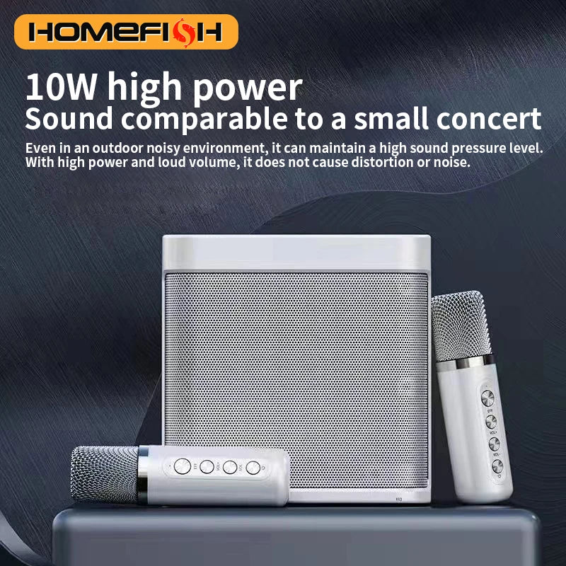Portable Bluetooth Karaoke Speaker with Dual Microphones — 10W Rechargeable 2000mAh Party Speaker for Home & Outdoor