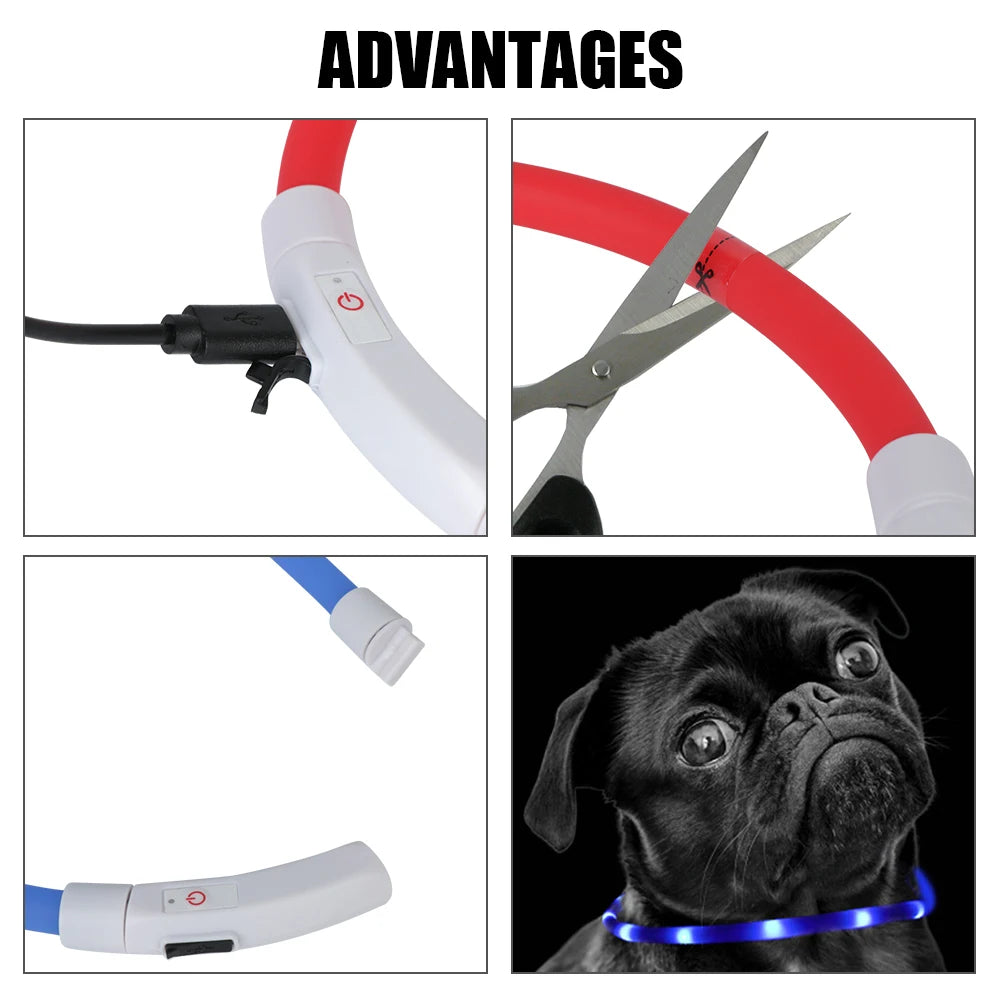 LED USB Rechargeable Dog Collar – Luminous Flashing Night Safety Collar, Waterproof & Adjustable