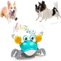Interactive Dancing Crab Pet Toy with Music — Battery-Powered Dog & Cat Toy for Active Play