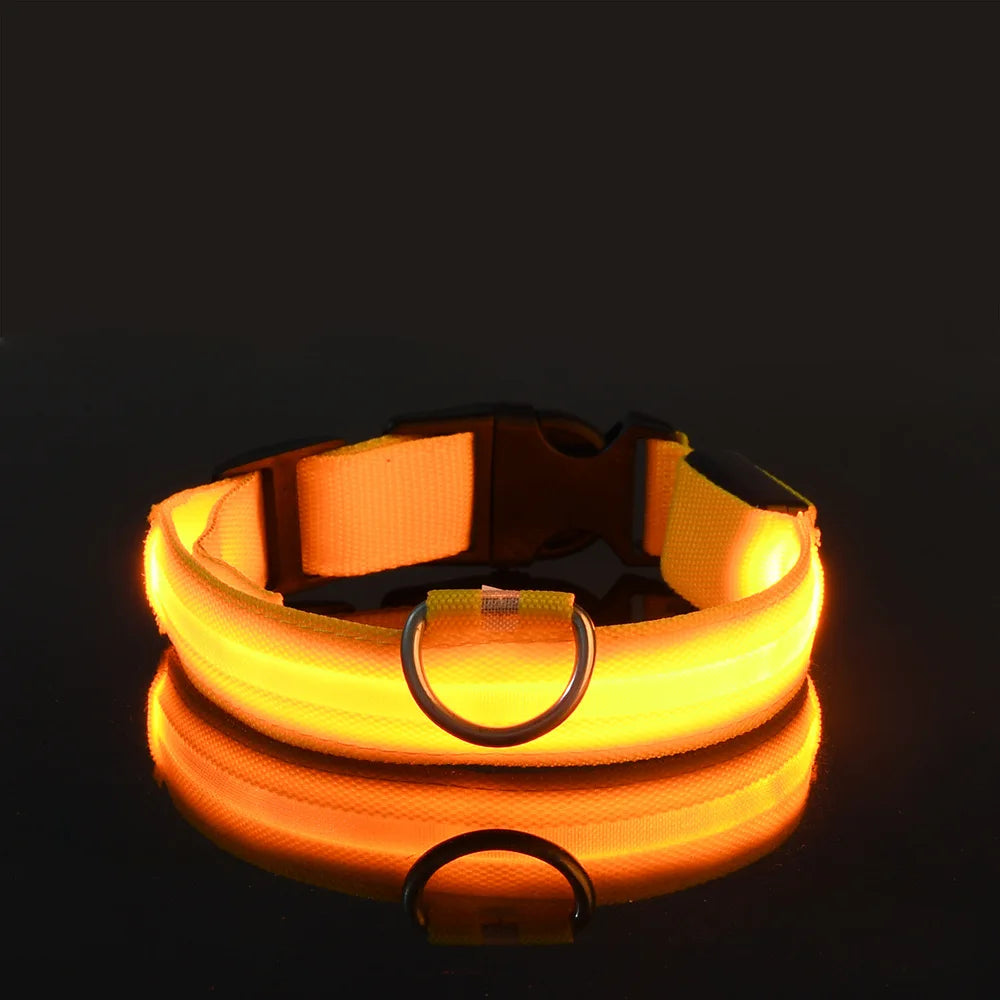 LED Glow-in-the-Dark Nylon Dog Collar & Leash — Flashing Luminous Safety Pet Collar