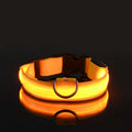 LED Glow-in-the-Dark Nylon Dog Collar & Leash — Flashing Luminous Safety Pet Collar