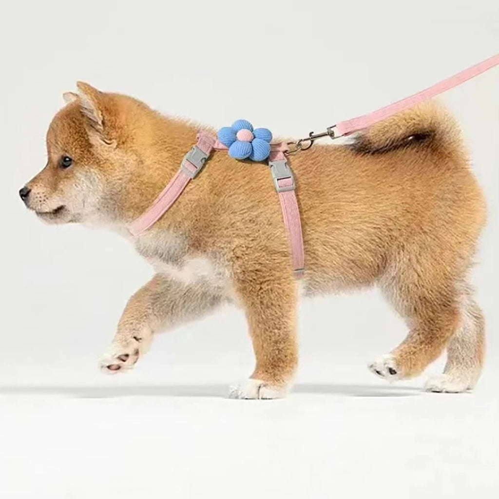 Adjustable Breathable Cat & Small Dog Harness with 120 cm (47 in) Leash, Escape-Proof Chest Strap S/M