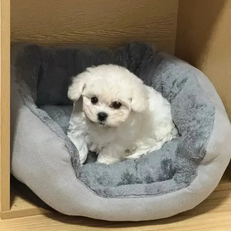 Very Soft Warm Cotton Dog Bed Sofa for Medium and Large Dogs, Cozy Pet House, Machine Washable