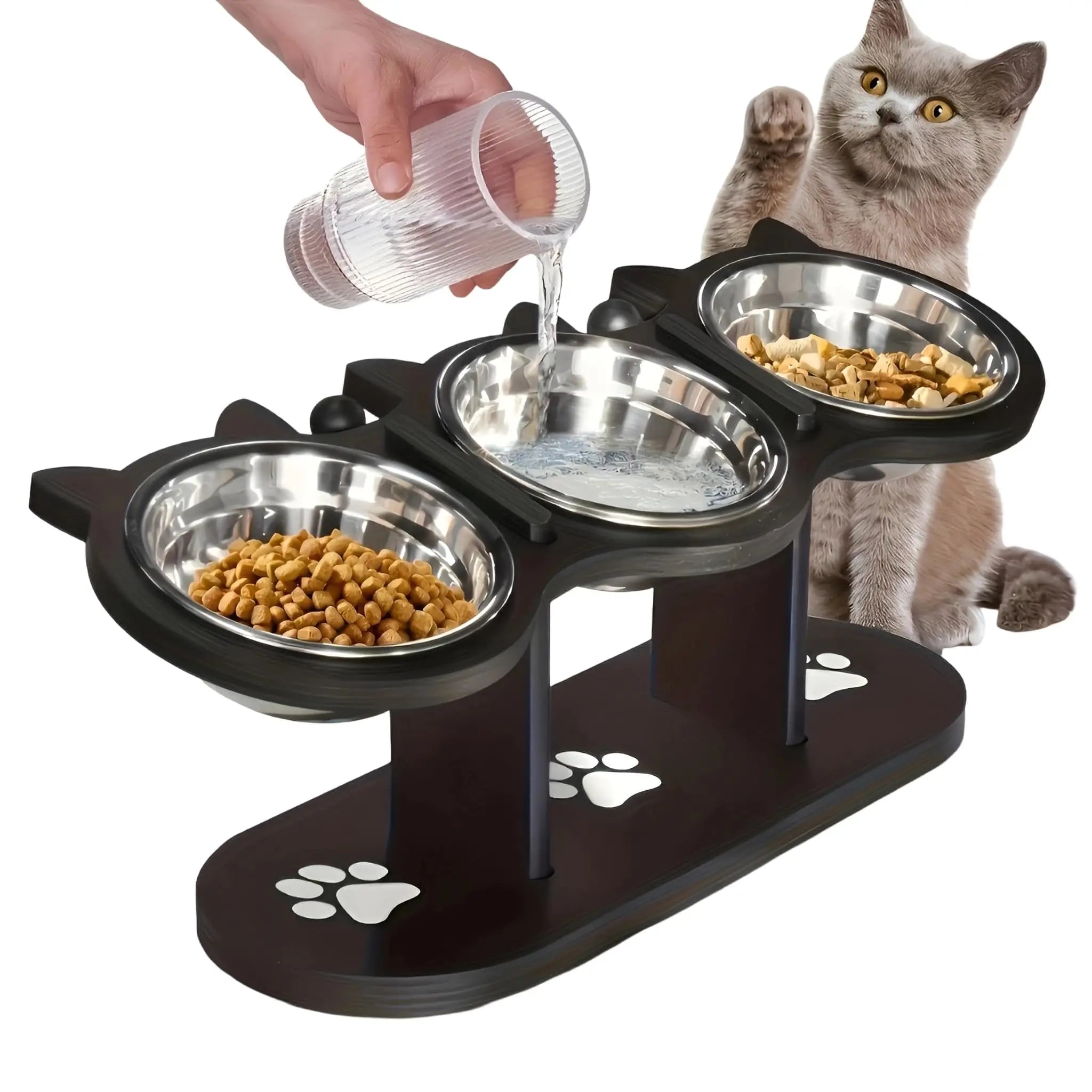 Elevated Stainless Steel Cat Bowl with Black Wooden Stand — 15° Tilted Pet Feeder