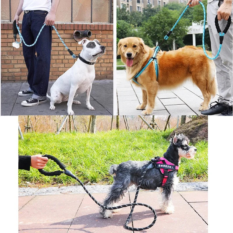 Reflective Nylon Dog Leash with Soft Handle — Reinforced Leash for Small, Medium & Large Dogs — 4ft/5ft/6.6ft/9.8ft (120/150/200/300 cm)