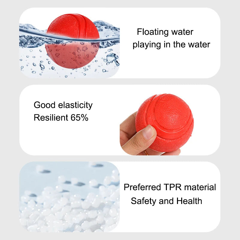 Indestructible TPR Dog Molar Ball – Bite-Resistant Interactive Training Toy, Sizes S–XL (1.8–2.8 in / 4.5–7 cm)