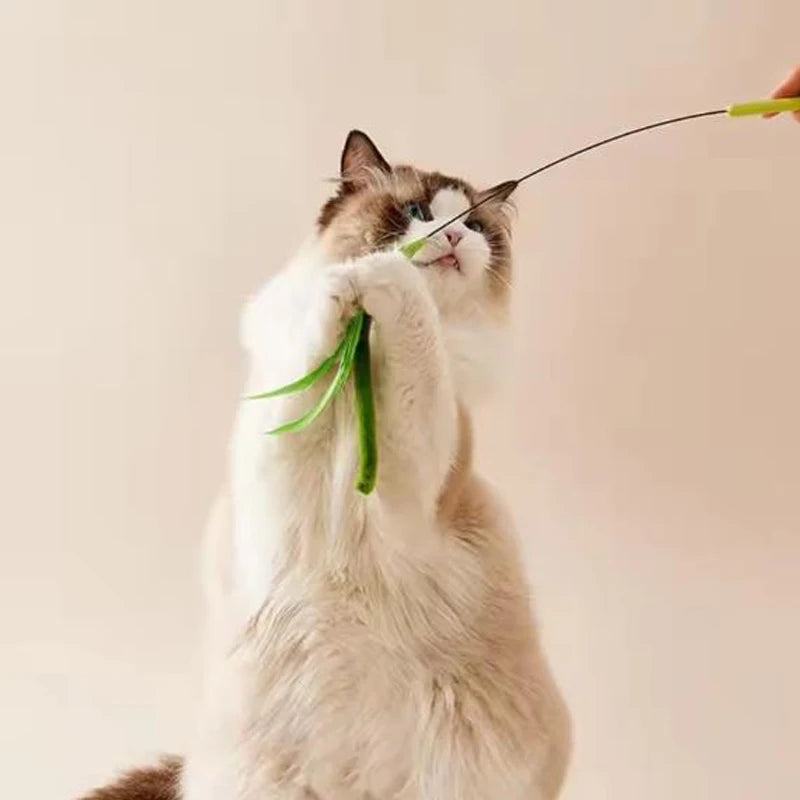Interactive Feather Teaser Cat Wand – Flexible Wire Durable Feather Pole Pet Toy