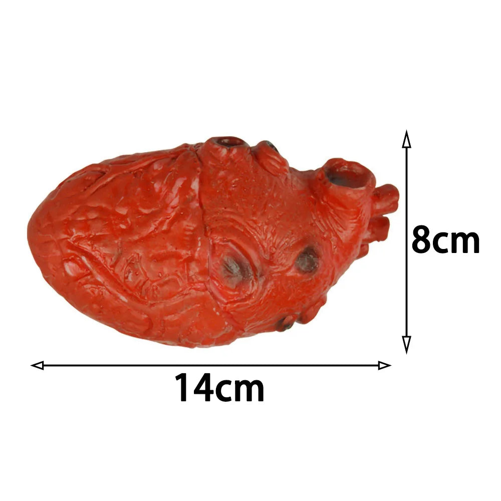 Lifelike Bloody Human Heart Prop, Life-Size Rubber Halloween Decoration, Severed Gory Body Part