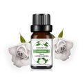 10 ml (0.34 fl oz) Mango & Pineapple Fragrance Oil for Diffuser, DIY Soap and Candle Making - Natural Plant-Based Blend