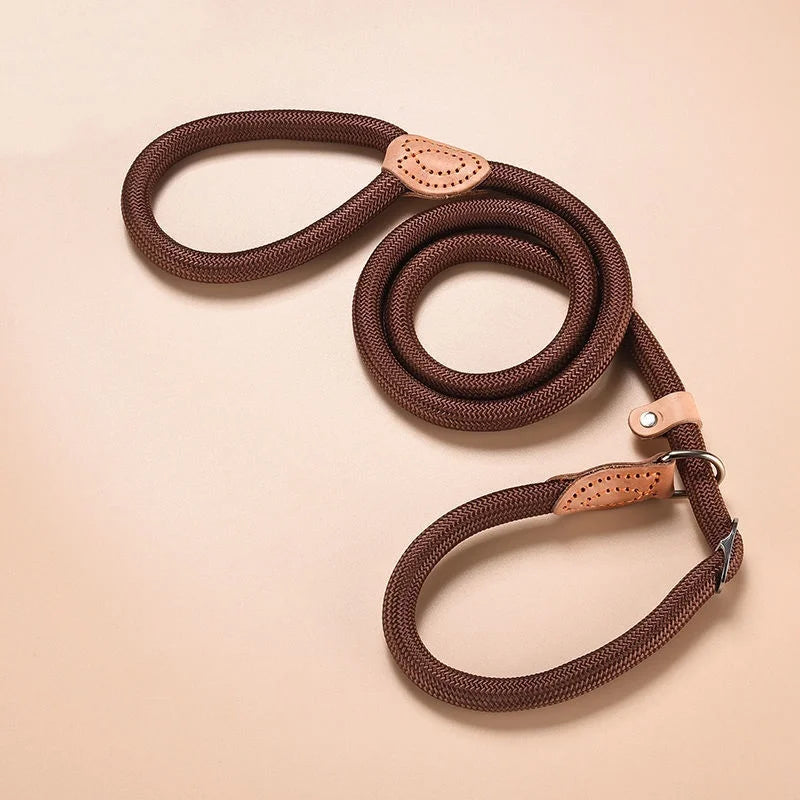Personalized Nylon Dog Leash with Quick-Release Clip, Adjustable Loop Collar for Small to Medium Dogs