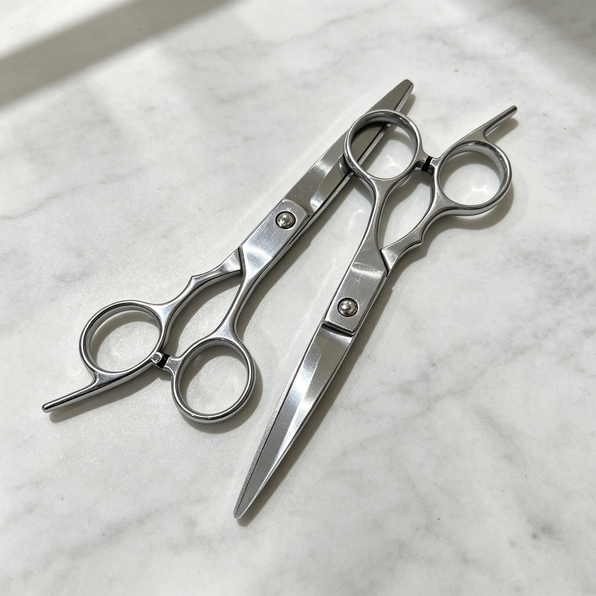 6.5-Inch (16.5 cm) Professional Hairdressing Scissors - Salon Flat Shears for Cutting, Trimming & Thinning