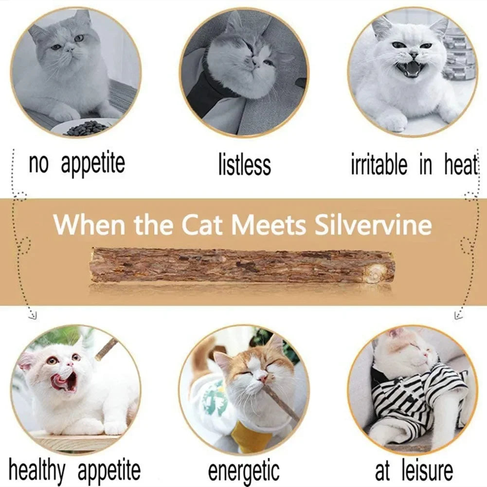 15-Pack Natural Matatabi (Silvervine) Cat Chew Sticks – Catnip Kitten Molar Dental Toy for Teeth Cleaning