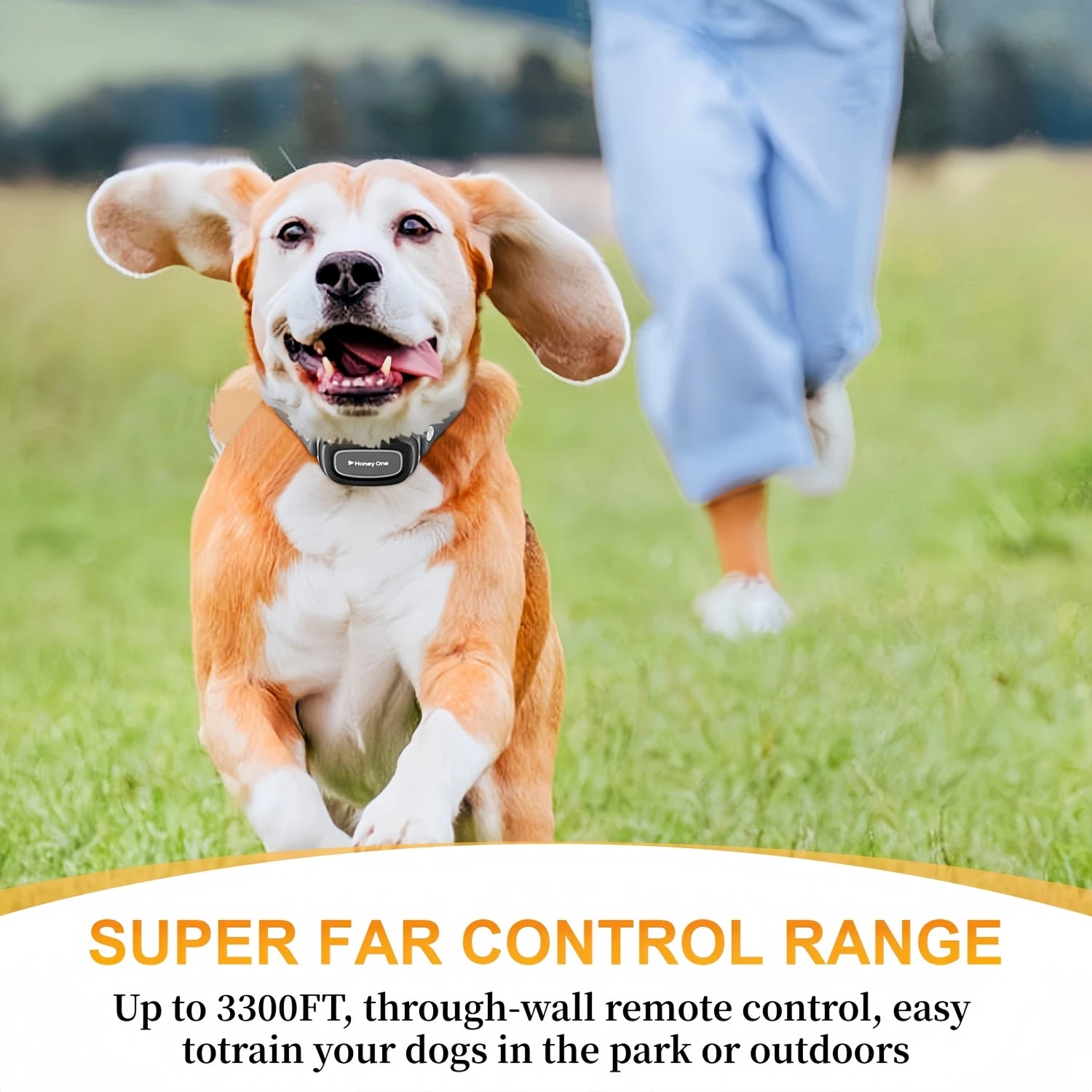 Waterproof Remote Dog Training Collar — Beep, Vibration & Shock, 3,300 ft Range (1,000 m), Adjustable for 8–150 lb (3.6–68 kg) Dogs
