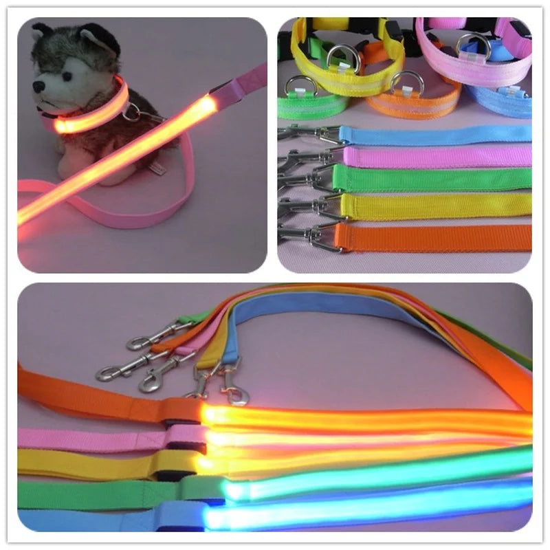 LED Light-Up Dog Leash 47.2 in (120 cm) Luminous Rope Safety Lead for Night Walks