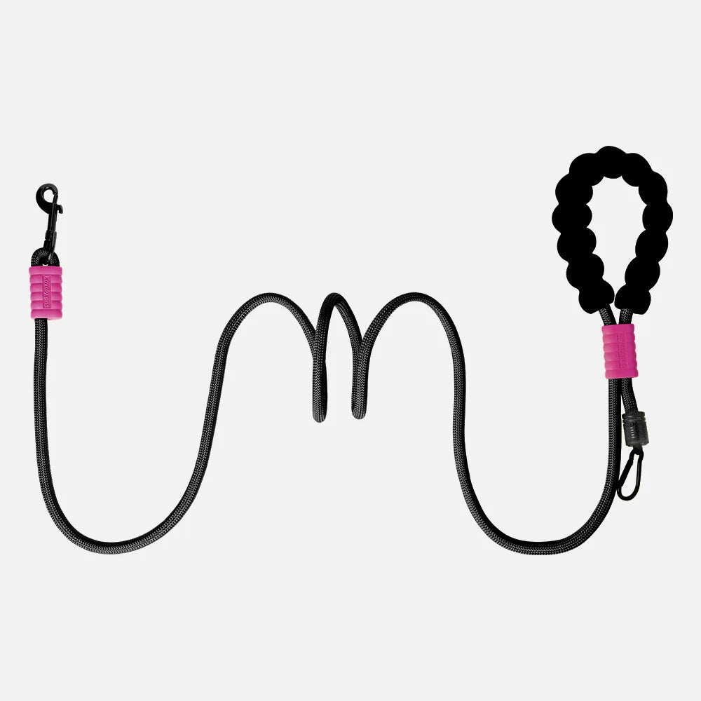 Durable Dog Leash – Sturdy Basic Pet Leash for Everyday Walks and Training