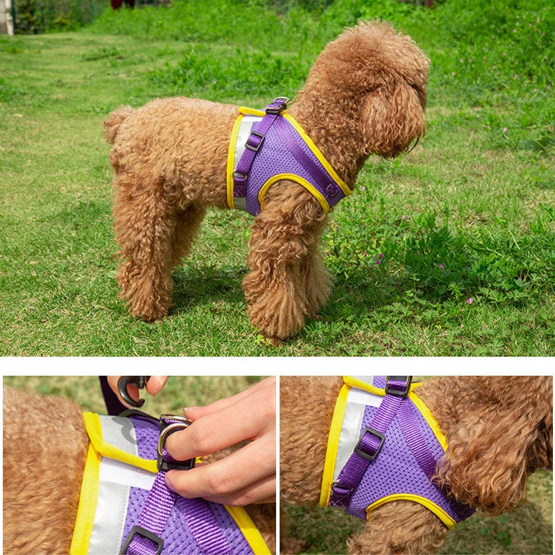 Reflective Adjustable Dog & Cat Harness Vest Set with 1.5m Leash – Breathable Mesh Puppy Kitten Harness (XS-L)