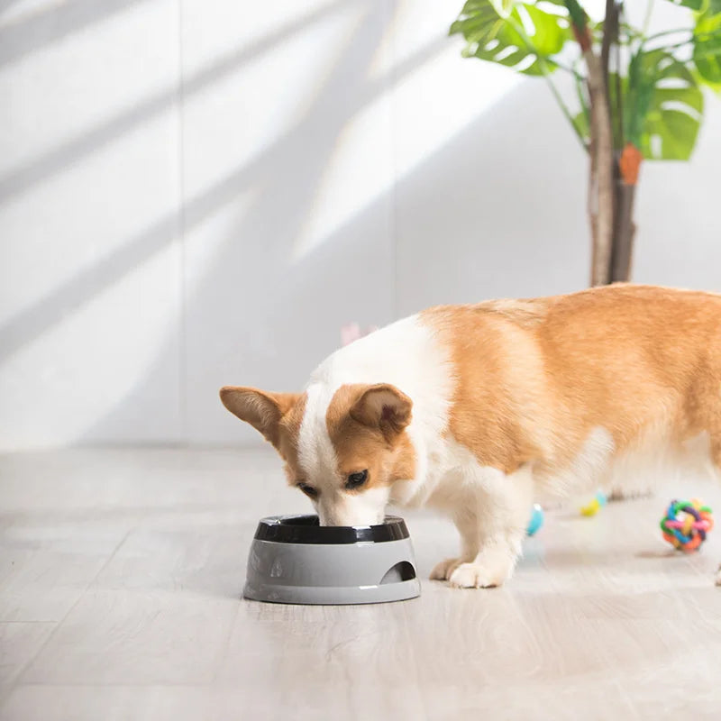 No-Spill Floating Pet Bowl 750ml (25.4 fl oz) - Portable Plastic Dog & Cat Water Feeder
