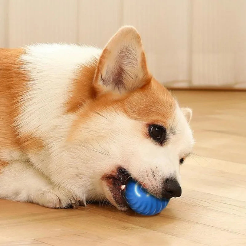 USB Rechargeable Jumping and Rotating Dog Ball - Interactive Chew Toy for Puppies