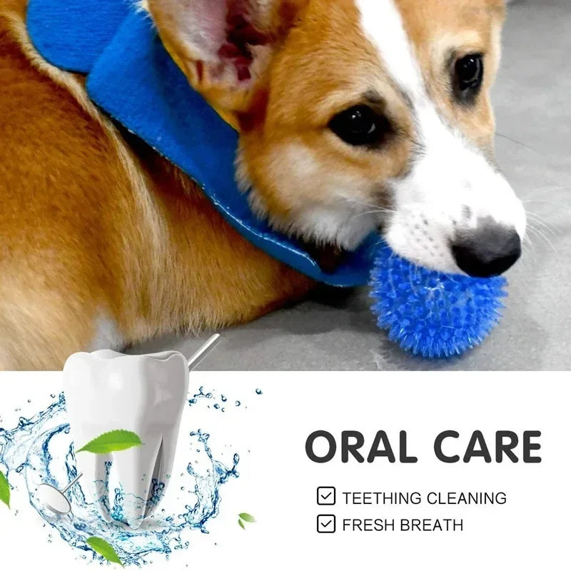 Squeaky TPR Spiky Chew Ball for Dogs & Cats — Dental Cleaning, Training & Fetch — 2.6 in (6.5 cm), 3.5 in (9 cm), 4.3 in (11 cm)