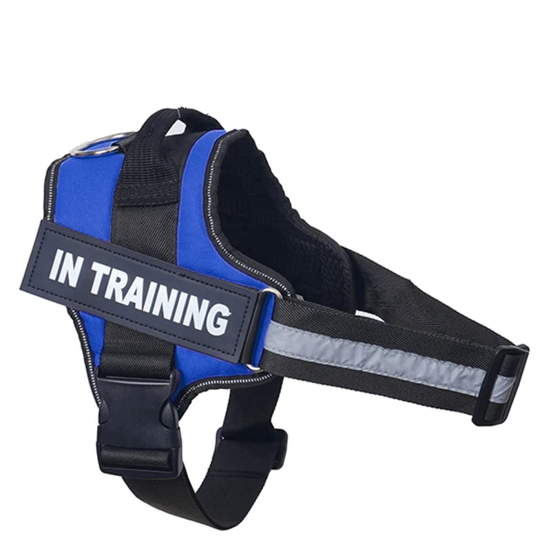 Personalized Reflective No-Pull Dog Harness Vest - Adjustable Nylon Pet Harness with Handle & Leash Attachment - Small/Medium/Large