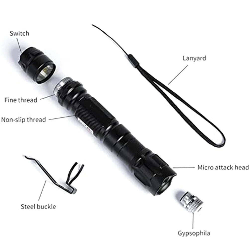 Mini 2-in-1 Cat Keychain Laser Pointer and LED Flashlight Portable Pet Training Toy