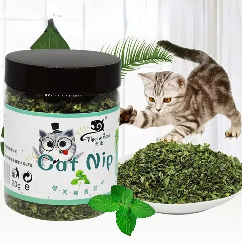 Organic Catnip Powder with Mint - 100% Natural Catnip for Cats, Interactive Cat Toy & Dental Chew