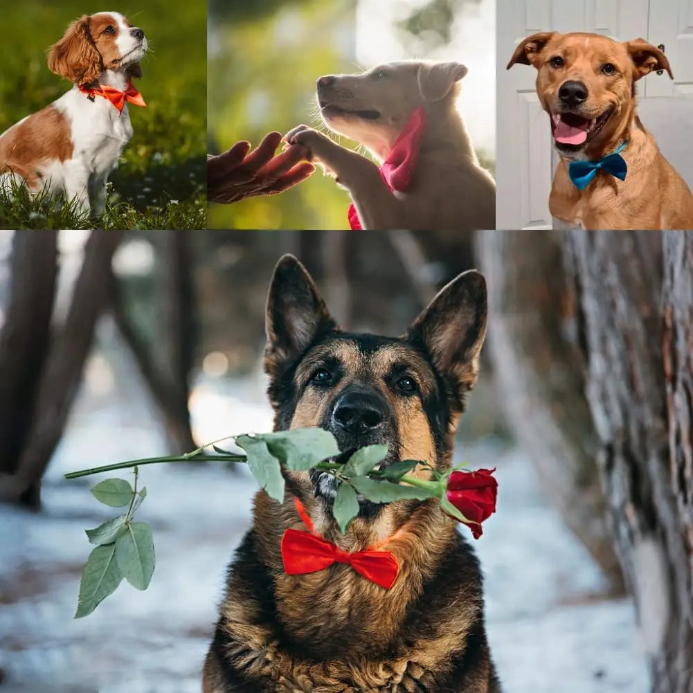Adjustable Bow Tie Collar for Dogs & Cats - Pet Bowknot Necklace for Puppies