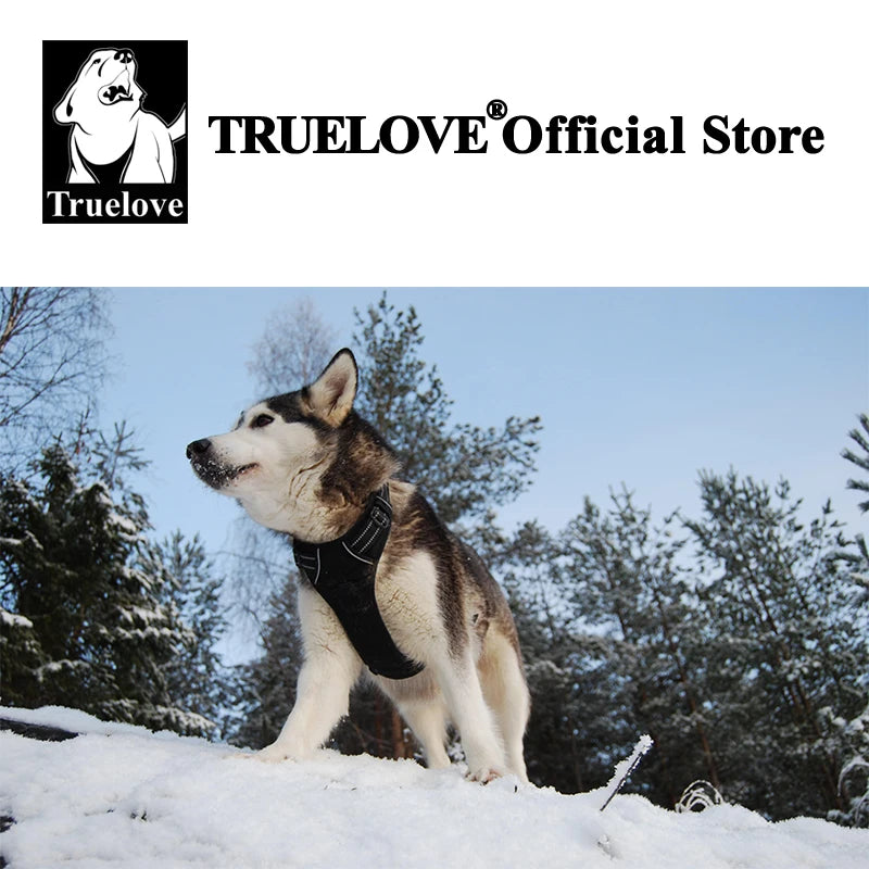 No-Pull Reflective Padded Dog Harness with Handle - Adjustable Escape-Proof Vest XS-XL