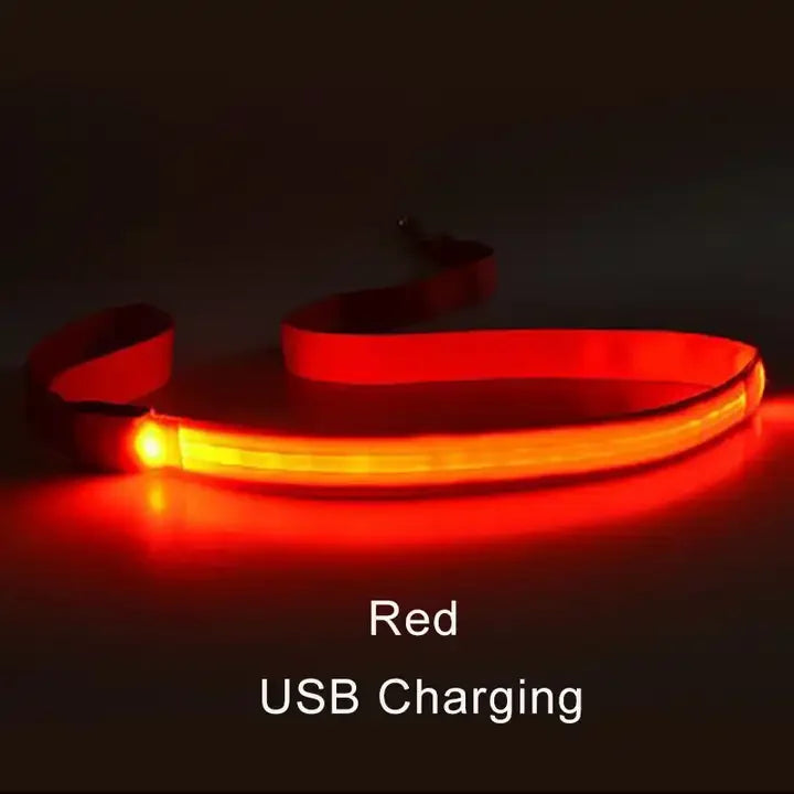 LED Light-Up Dog Leash 47.2 in (120 cm) Luminous Rope Safety Lead for Night Walks